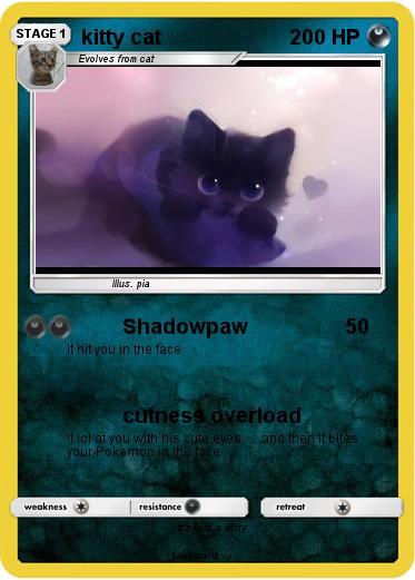 Pokemon kitty cat