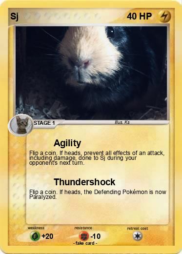 Pokemon Sj
