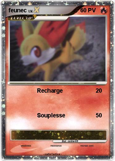 Pokemon feunec