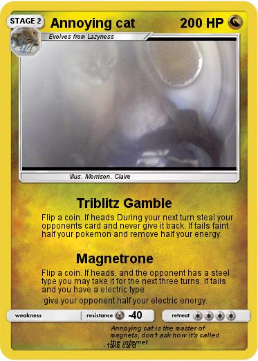Pokemon Annoying cat