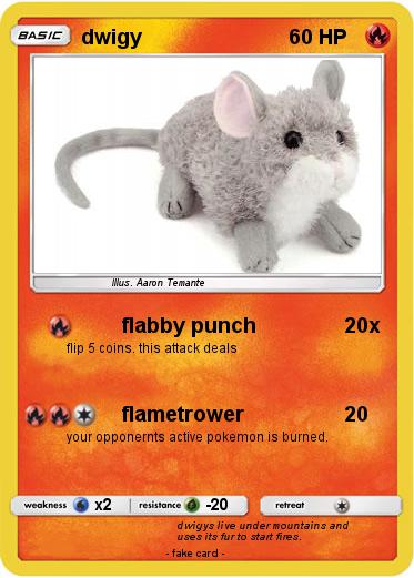 Pokemon dwigy