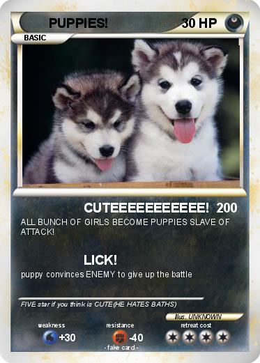 Pokemon PUPPIES!
