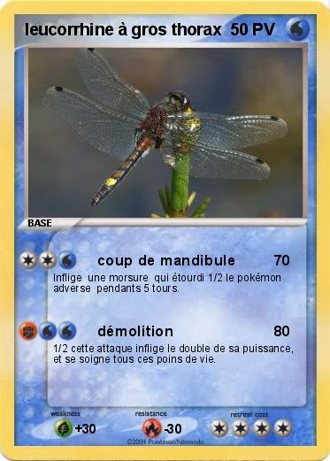 Pokemon leucorrhine à gros thorax
