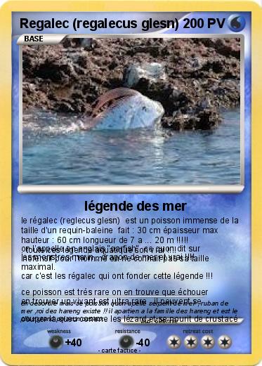 Pokemon Regalec (regalecus glesn)
