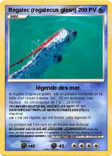 Pokemon Regalec (regalecus glesn)
