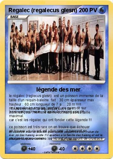 Pokemon Regalec (regalecus glesn)