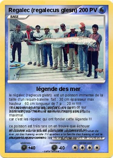 Pokemon Regalec (regalecus glesn)