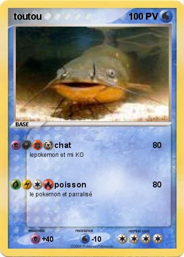 Pokemon toutou