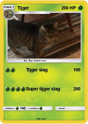 Pokemon Tijger