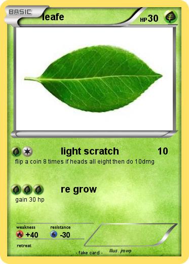 Pokemon leafe