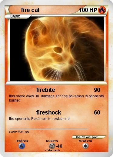 Pokemon fire cat