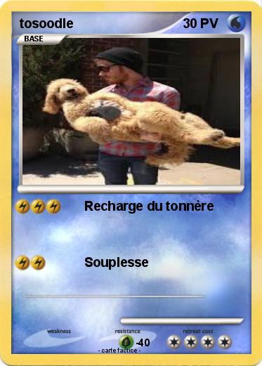 Pokemon tosoodle