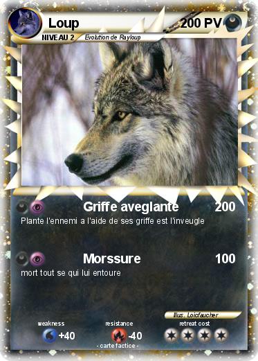 Pokemon Loup