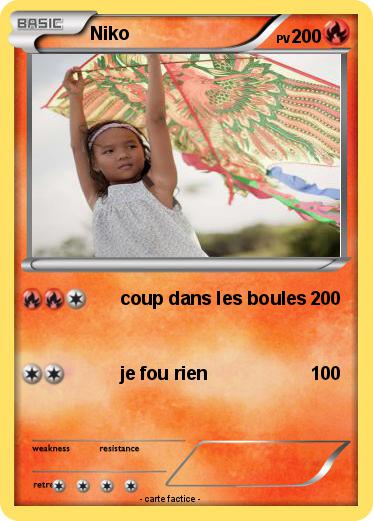 Pokemon Niko