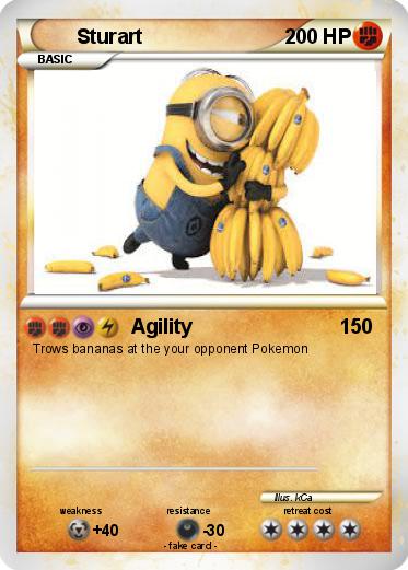 Pokemon Sturart