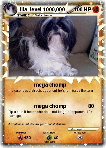 Pokemon lila  level 1000,000