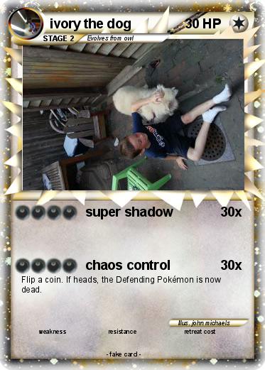 Pokemon ivory the dog