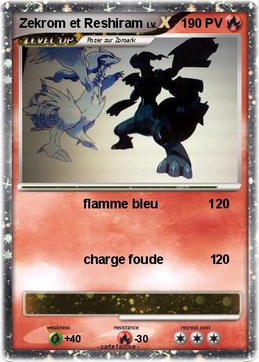 Pokemon Zekrom et Reshiram