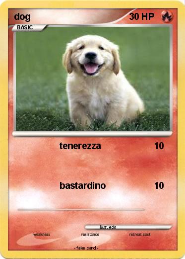 Pokemon dog