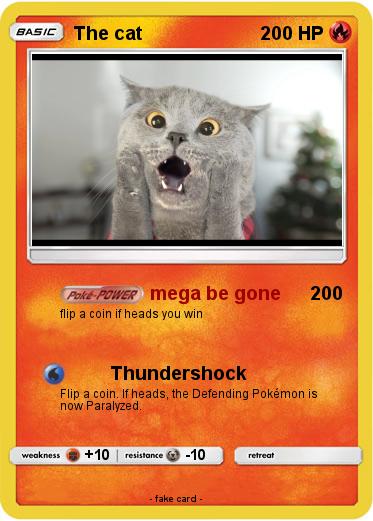 Pokemon The cat