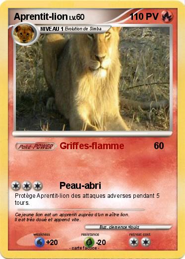 Pokemon Aprentit-lion