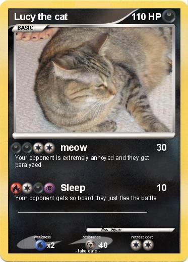Pokemon Lucy the cat