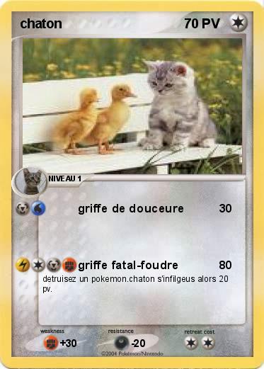 Pokemon chaton