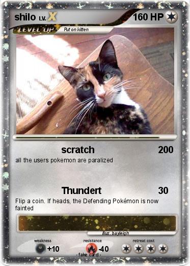 Pokemon shilo