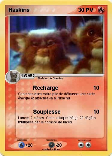 Pokemon Haskins