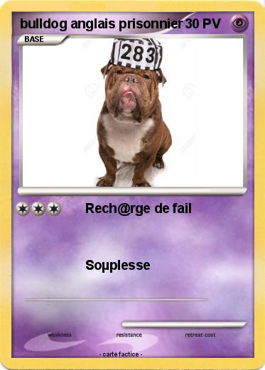 Pokemon bulldog anglais prisonnier