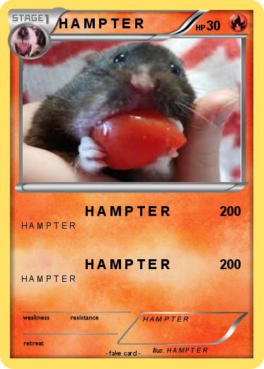 Pokemon H A M P T E R