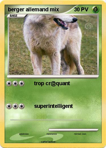 Pokemon berger allemand mix