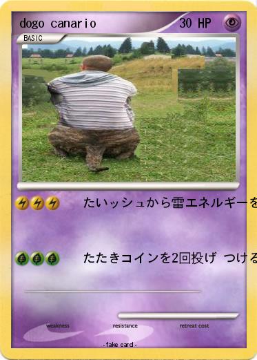 Pokemon dogo canario