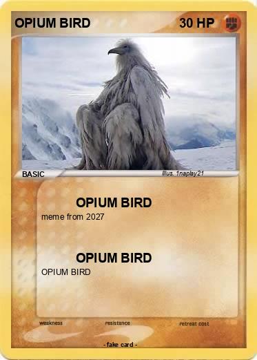 Pokemon OPIUM BIRD