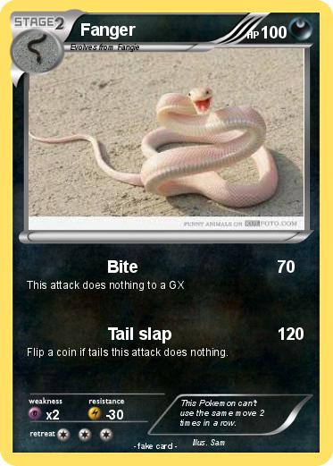 Pokemon Fanger
