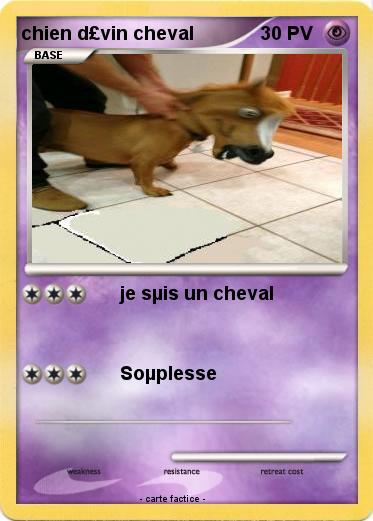 Pokemon chien d£vin cheval