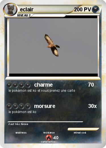 Pokemon eclair