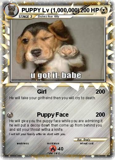 Pokemon PUPPY Lv (1,000,000)