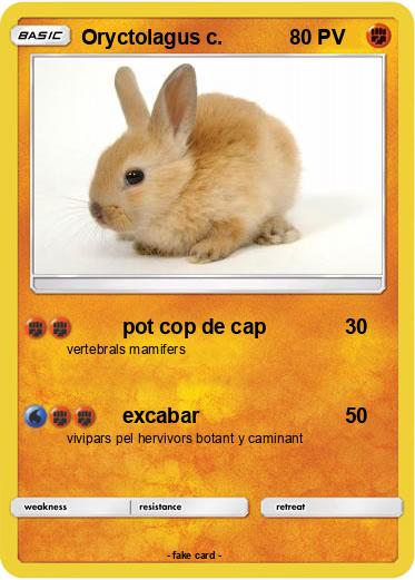 Pokemon Oryctolagus c.