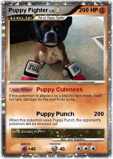 Pokemon Puppy Fighter