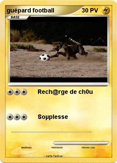 Pokemon guépard football