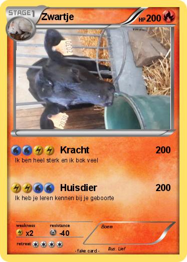 Pokemon Zwartje