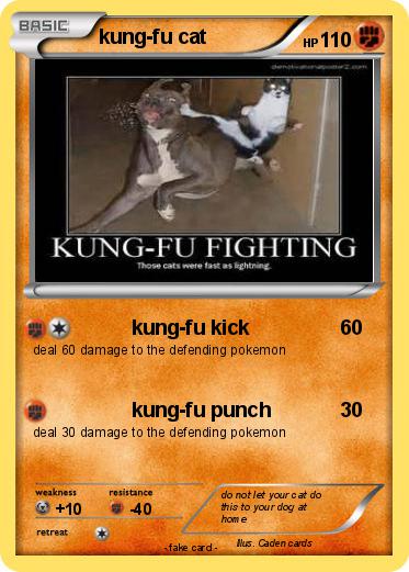 Pokemon kung-fu cat
