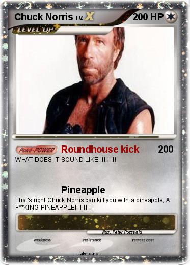 Pokemon Chuck Norris