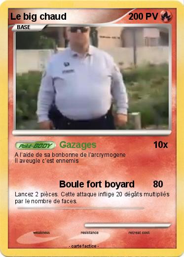 Pokemon Le big chaud