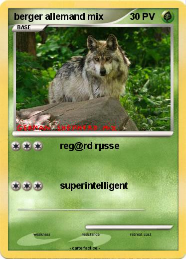 Pokemon berger allemand mix