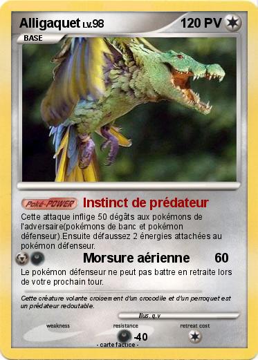 Pokemon Alligaquet