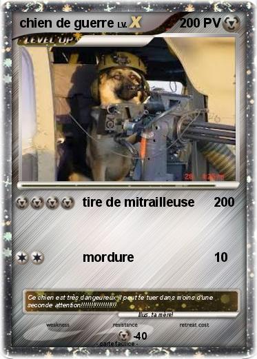 Pokemon chien de guerre