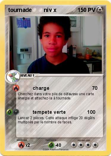 Pokemon tournade        niv x