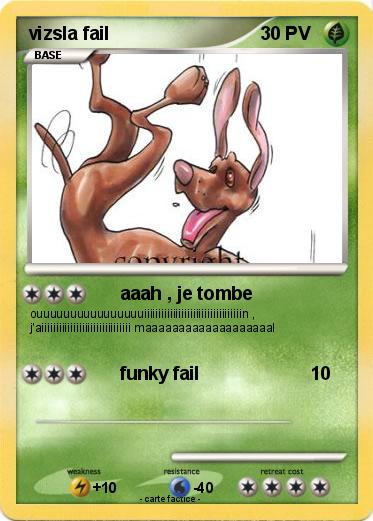 Pokemon vizsla fail